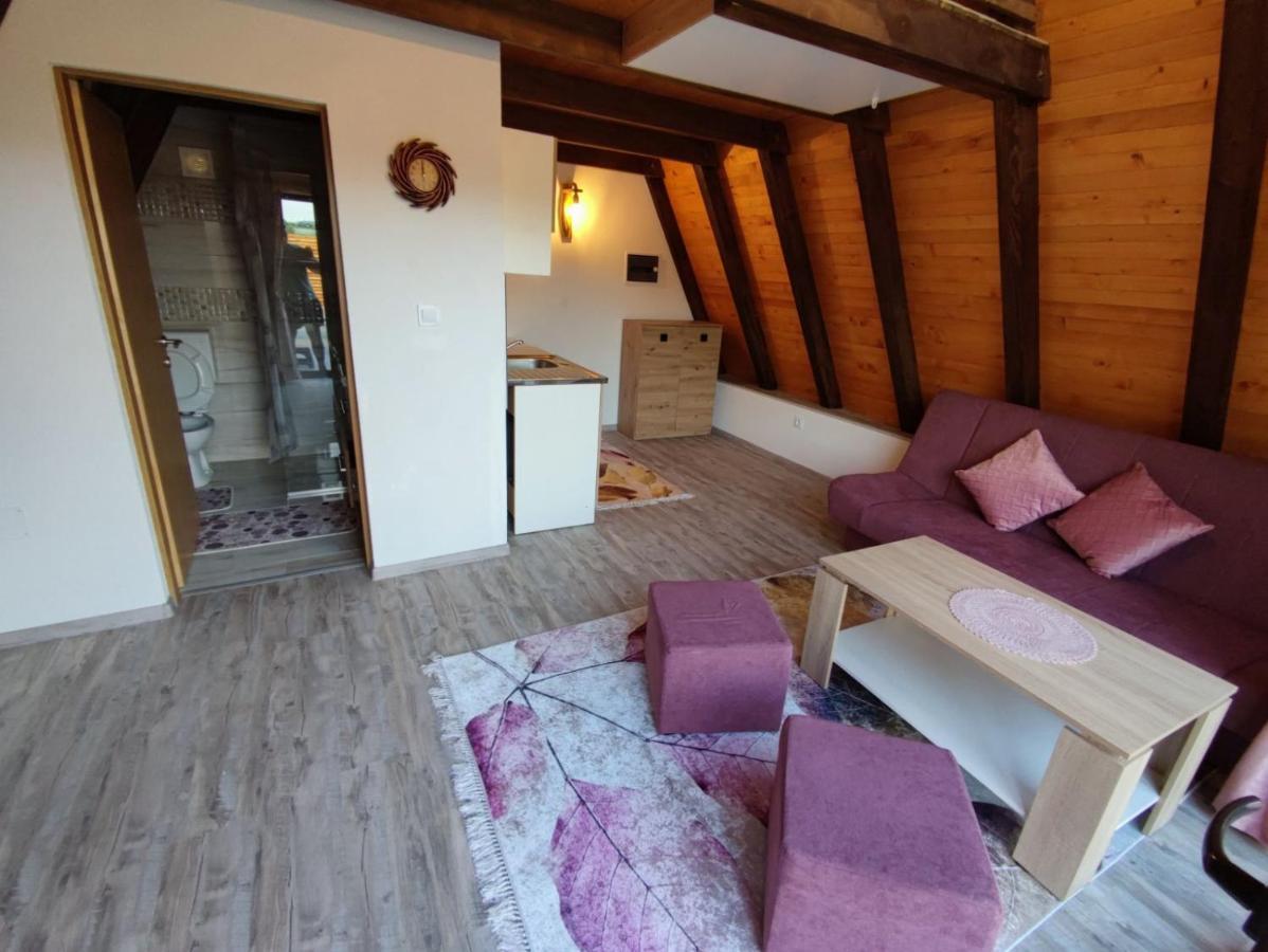 Villa Dream House Bihać 外观 照片